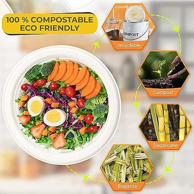 I00000 Heavy Duty 100% Compostable 9 Inch Paper Plates, 100 Pack Disposable  Plates Bagasse Plates Biodegradable Eco-Friendly Natural White Sugarcane Paper  Plates Microwaveable Plates for Party, Picnic - Yahoo Shopping