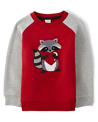 Gymboree Boys' and Toddler Long Sleeve Sweaters, Racoon Heart, 10