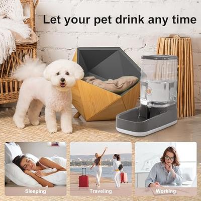 Food and Drinking Water Dispenser for Pet Dogs, Food Bowl 3.8L