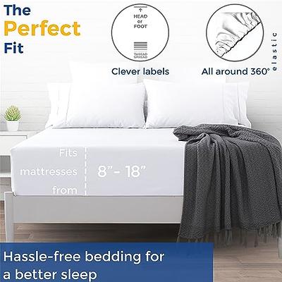 Good Sleep Bedding 1 Piece White Twin XL Fitted Sheet, Upto 16 inch Deep Pocket Twin XL Sheets, 800 TC 100% Egyptian Cotton Fitted Sheet Only, Soft