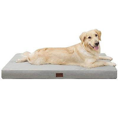 Durable & Water Resistant Crate Mat, (34 x 20) Dog Bed - Perfect for 36  Crates