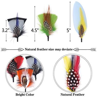 Hat Feathers, 10 Pcs Assorted Natural Feather Packs Accessories for Fedora, Cowboy, Open Road, Borges, Scott, Trilby Hats