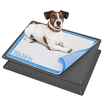  Timgle 1 Pee Pad Holder 30 x 24 Inches Puppy Pad Holder Tray  Silicone Dog Potty Tray No Spill Pee Pad Tray Potty Pad Holder with 4  Holder Clamps for Dogs