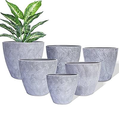 Utopia Home - Plant Pots Indoor with Drainage - 7/6.6/6/5.3/4.8 Inches Home  Decor Flower Pots for Indoor Planter - Pack of 5 Plastic Planters for