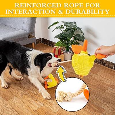 Interactive dog toys for small dogs