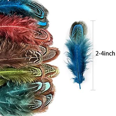 ALAZCO 120 pcs Colorful Goose Feathers Natural Feathers for DIY