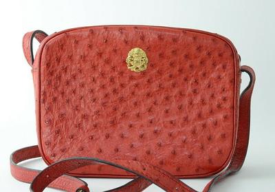 Celine Bag, Made in France, Ostrich Shoulder Crossbody Red Leather Women's  Vintage Bags For Women - Yahoo Shopping