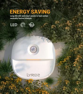 Lyridz Motion Sensor Night Light Indoor, Bright Plug in Night Light with  Dusk to Dawn Sensor