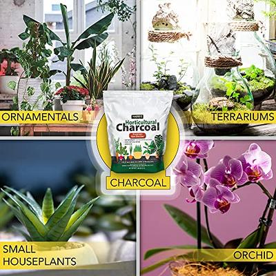 Harris Horticultural Charcoal, Premium Biochar Soil Amendment for Plants  and Terrariums, 2qt - Yahoo Shopping