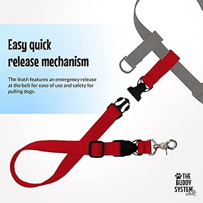  The Buddy System Adjustable Hands Free Dog Leash