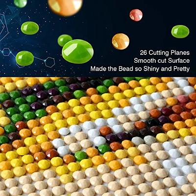 BOHADIY Diamond Painting Kits for Adults 5D Diamond Art Kits for