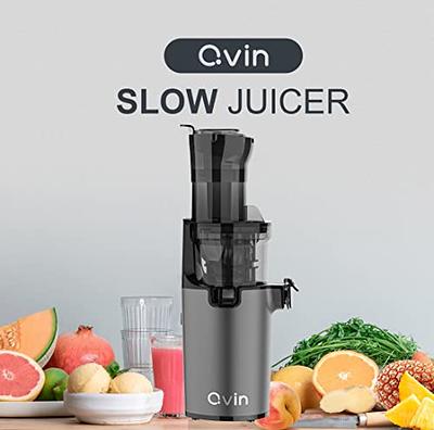 DEWINNER Slow Masticating Mini Juicer Extractor Easy to Clean, Cold Press  Juicer Machine with quiet motor for High Nutrient Fruit & Vegetable Juice