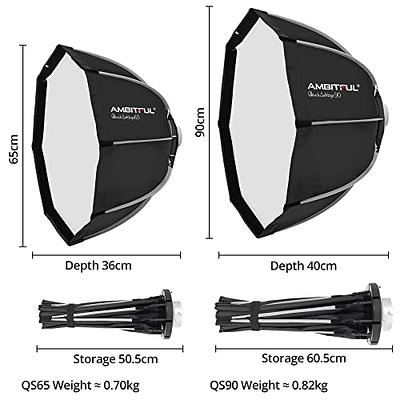 Godox MS300-V Studio Flash Monolight MS300-V B&H Photo Video