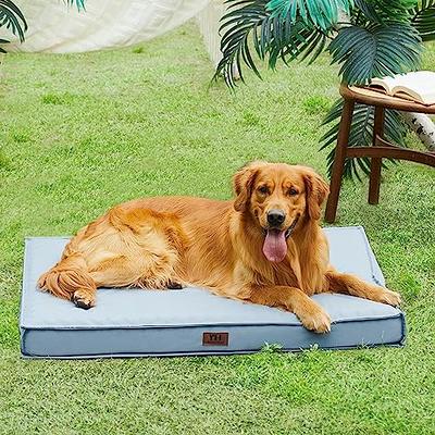 Large Dog Bed XL, Washable Pet Bed Dog Crate Pad for Extra Large