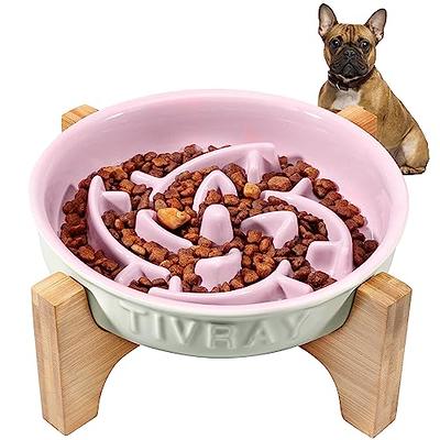 WHIPPY Slow Feeder Bowl for Small Medium Dog Fun Maze Feeder Dog Food Water  Bowl Anti-Slip Puzzle Bowl No Chocking Healthy Interactive Bloat Stop Dog