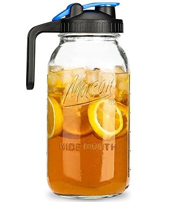 Coffee Gator Cold Brew Coffee Maker - 47 oz Iced Tea and Cold Brew Maker  and Pitcher w/Glass Carafe, Filter, Funnel & Measuring Scoop - Black