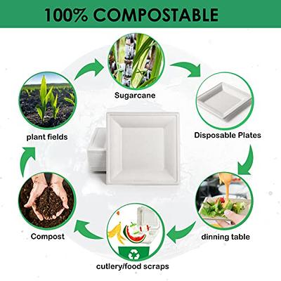 I00000 Heavy Duty 100% Compostable 10 Inch Paper Plates, 100 Pack