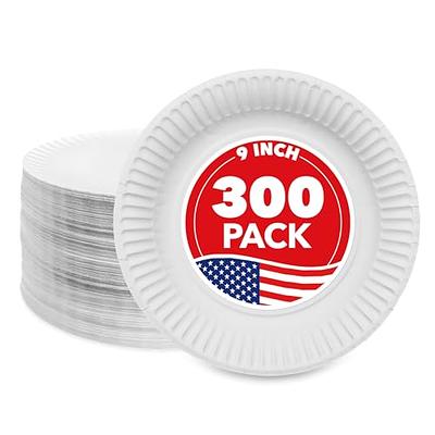  Exquisite White Paper Plates 9 Inch 100 Count - White 9 Inch  Paper Plates - Bulk Paper Plates White Disposable Plates - Great For Any  Event - Disposable Cake Plates Paper Plate White : Health & Household