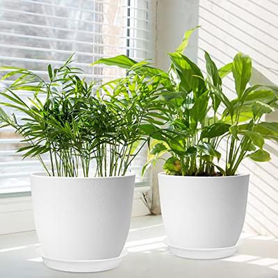 10/9/8/7/6 Inch Plant Pots, Large Plastic Planters for Indoor