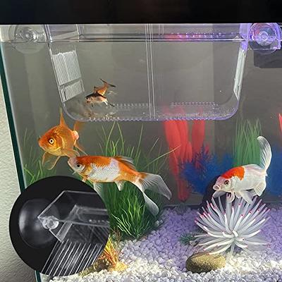 photo tank, tank fish viewing observation box,acrylic fish box fish  breeding box,micro landscape fish tank mini aquarium,portable small fish  tank