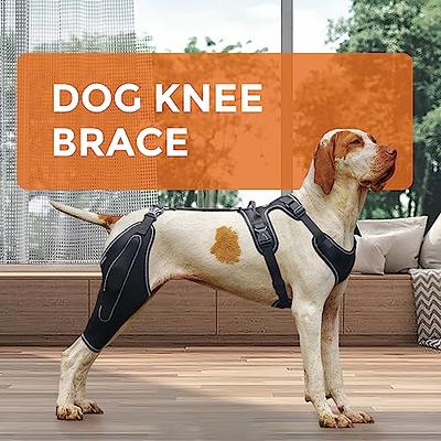 Dog Acl Brace Hind Leg, Dog Knee Braces for Torn Acl Hind Leg, Luxating  Patella, Cruciate Ligament, Dog Acl Knee Brace Support Back Leg for Relieve