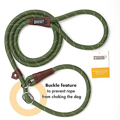 Brilliant Paw Slip Lead Dog Leash 6FT, Strong Braided Training Dog Lead,  Comfortable Padded Handle and Highly Reflective Threads, Durable Walking  Slip