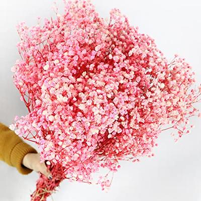 Dried Babys Breath Flowers Bouquet Dry Natural Gypsophila - Temu