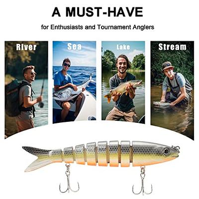 Goture Soft Shrimp Lures Fishing Saltwater Luminous Shrimp Bait Set Fishing  Lures with Sharp Hooks for Freshwater Saltwater Trout Bass Salmon Crappie  Walleye Pike Perch 