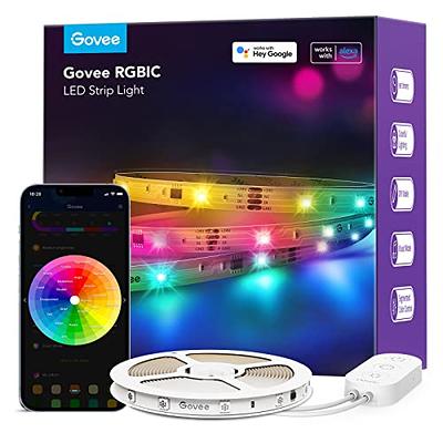 Govee RGBIC Smart Wall Sconces, Music Sync Home Decor WiFi Wall Lights Work  with Alexa, Multicolor