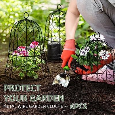 Gardener's Supply Company Sturdy Chicken Wire Cloche Plant Protector  Extension