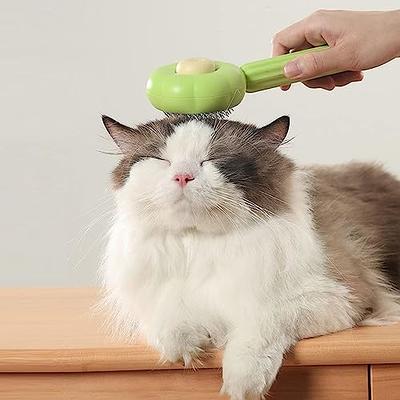 Steamy Cat Brush,3 in1 Cat Steam Brush,Self Cleaning Steam Cat Brush for  massage, Pet Steam Brush for Cat,Multifunctional Cat Steamer Brush,Cat