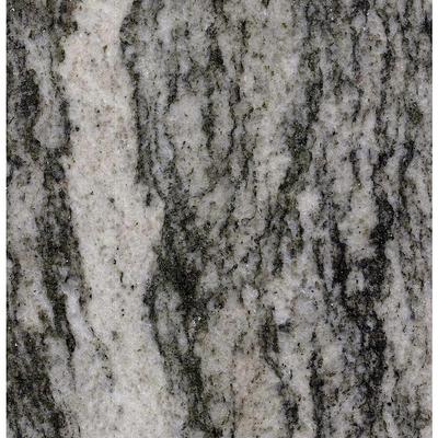 STONEMARK 3 in. x 3 in. Granite Countertop Sample in Kempton Park