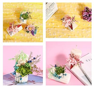 Dried Flowers For Candle Making Natural Pressed Flowers Multiple For Resin  Molds Soap Candle Scrapbooking 2