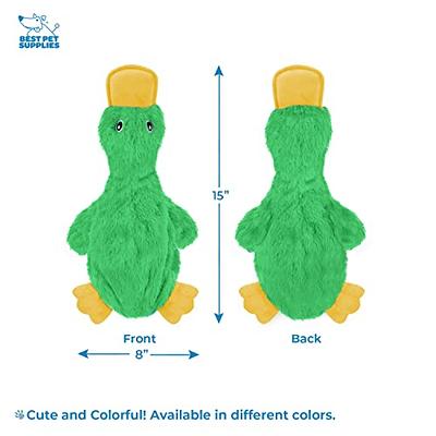 Pet Supplies : Best Pet Supplies Crinkle Dog Toy for Small, Medium