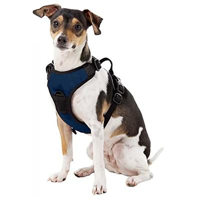 Pets First Detroit Lions Harness, Small