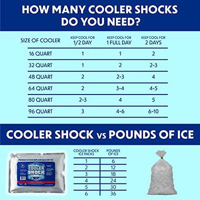 Cooler Shock Reusable Ice Packs for Cooler - Set of 3 Long Lasting Cold  Freezer Packs for Large Coolers and Injuries - Cooler Accessories for  Beach, Fishing, Road Trips & Camping Gear - Yahoo Shopping