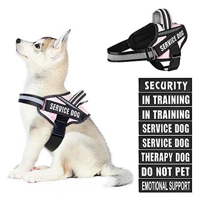 Training Dog Vest For Dog Trainers - Nylon Dog Training Vest : German  Shepherd Breed: Dog harnesses, Muzzles, Collars, Leashes