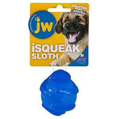 JW Pet iSqueak Bone Dog Toy