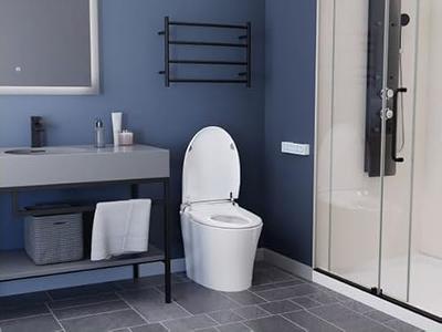 ELLAI Smart Toilet with Bidet Built In, Bidet Toilet with Remote Contr