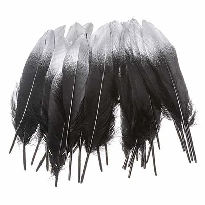 50PCS 15-20cm White Goose Feathers Feather DIY Crafts Natural