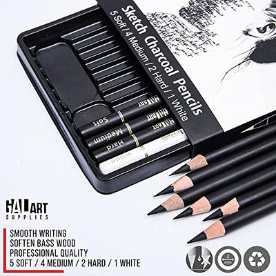 Professional Charcoal Pencils Drawing Set - 10 Pieces Soft Medium