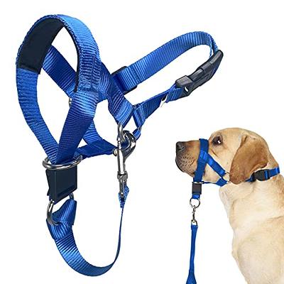 Bingo's Dog Head Collar Back Clip No Pull Halter for Medium Dogs, Nose Lead  to Control Pulling, Simple to Use Training Muzzle Leash, Adjustable Head