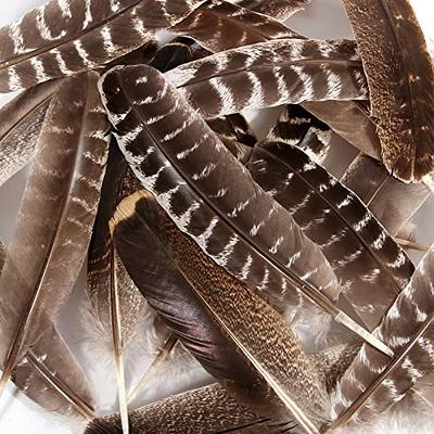 20pcs Male Pheasant Feather Natural Ringneck Tails Feathers 14-16inch  35-40cm for Crafts Home Wedding Party Performance DIY Decoration Pheasant