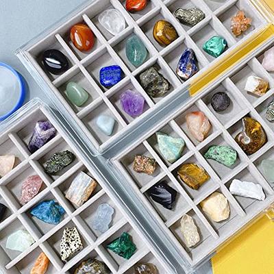 Acrylic Rock Collection Display Case Rock Collection Box for Kids Display  Cases for Collectibles Crystal Display Case Holder Shadow Boxes Display  Cases Display Cabinet Fossil Display Box - Yahoo Shopping