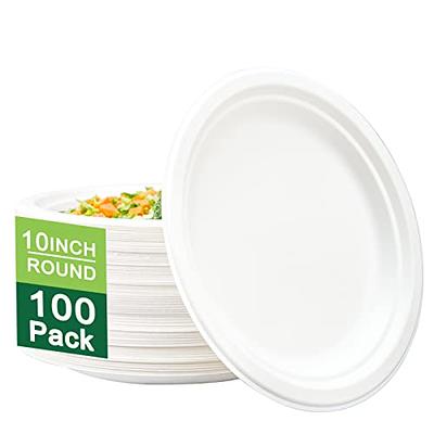 I00000 Heavy Duty 100% Compostable 10 Inch Paper Plates, 100 Pack