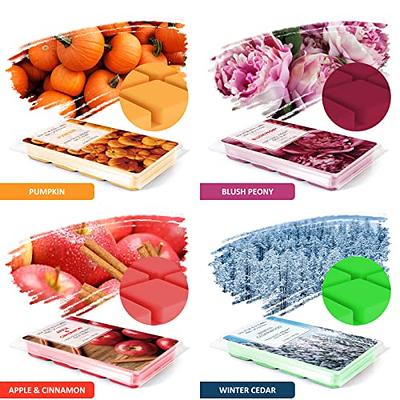 4 Pk Cube Apple Cinnamon Wax Melts Candle Warmers Fragrance 2.5oz