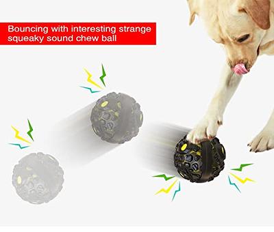 Interactive Dog Toys Ball Treat Dispenser Squeaky Dog Chew Toy