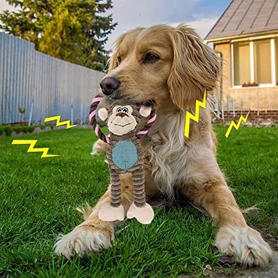 Babezdog Interactive Dog Toys - Squeaky Dog Toys for Aggressive Chewers,  Natural Rubber Dog Teething Toys, Durable Puppy Dog Chew Toys Large Dog  Toys