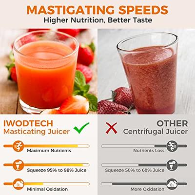 IWODTECH Cold Press Juicer, Slow Juicer Machines, Slow Masticating Juicer  with 2-Speed Modes, Juicer Machine for Vegetable & Fruit, Silent Motor and