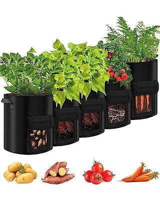 Fabric Grow Bags  Shop Breathable Fabric Pots - Bootstrap Farmer